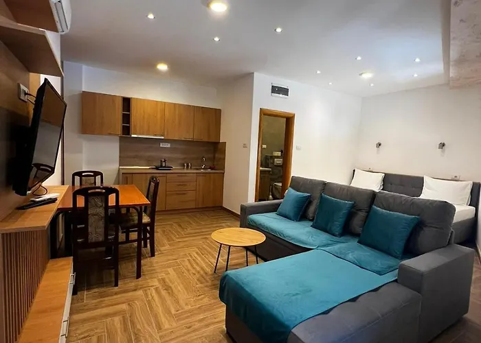 Ristanovic Διαμέρισμα Užice